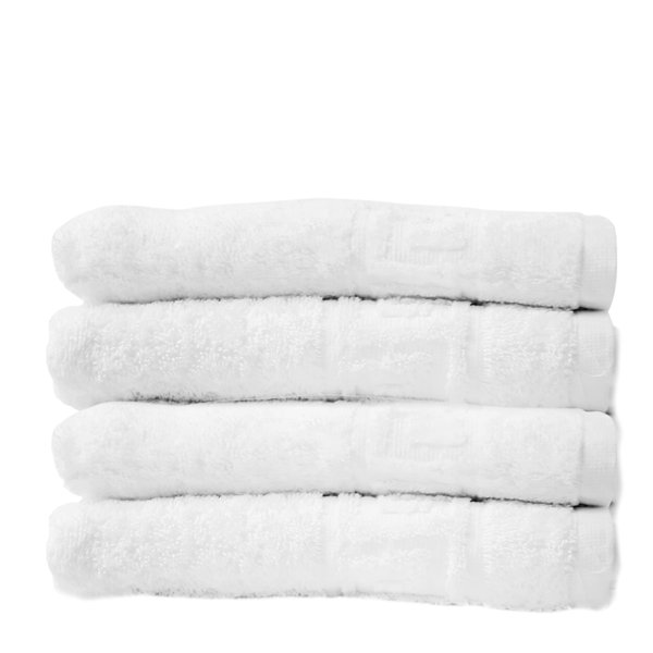 Winston Porter 2 Piece 100 Cotton Hand Towel Set & Reviews Wayfair